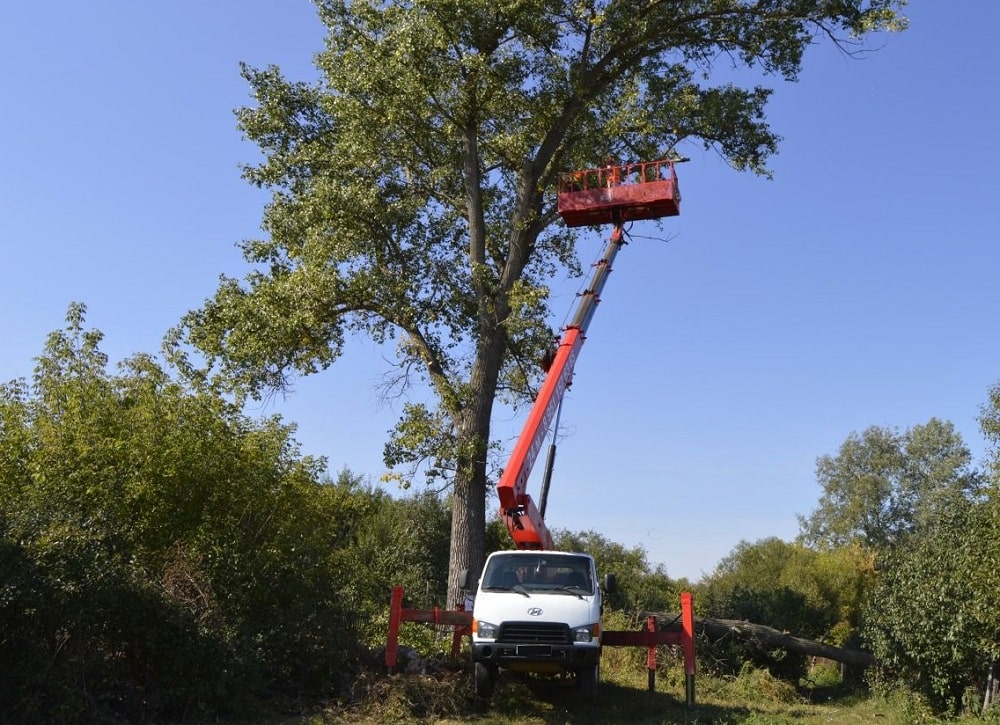 Автовышка для кронирования деревьев - СпецТехТула